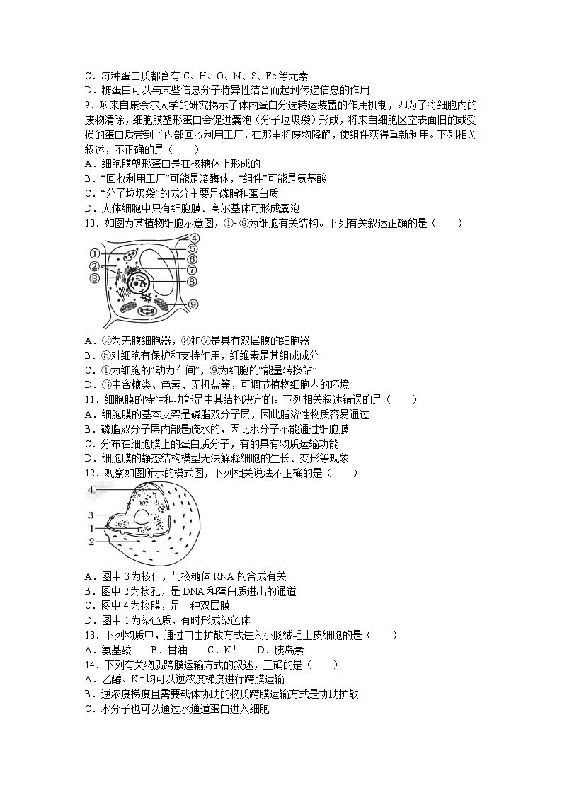 2021成都七中高一上学期1月阶段性测试生物试题含答案02