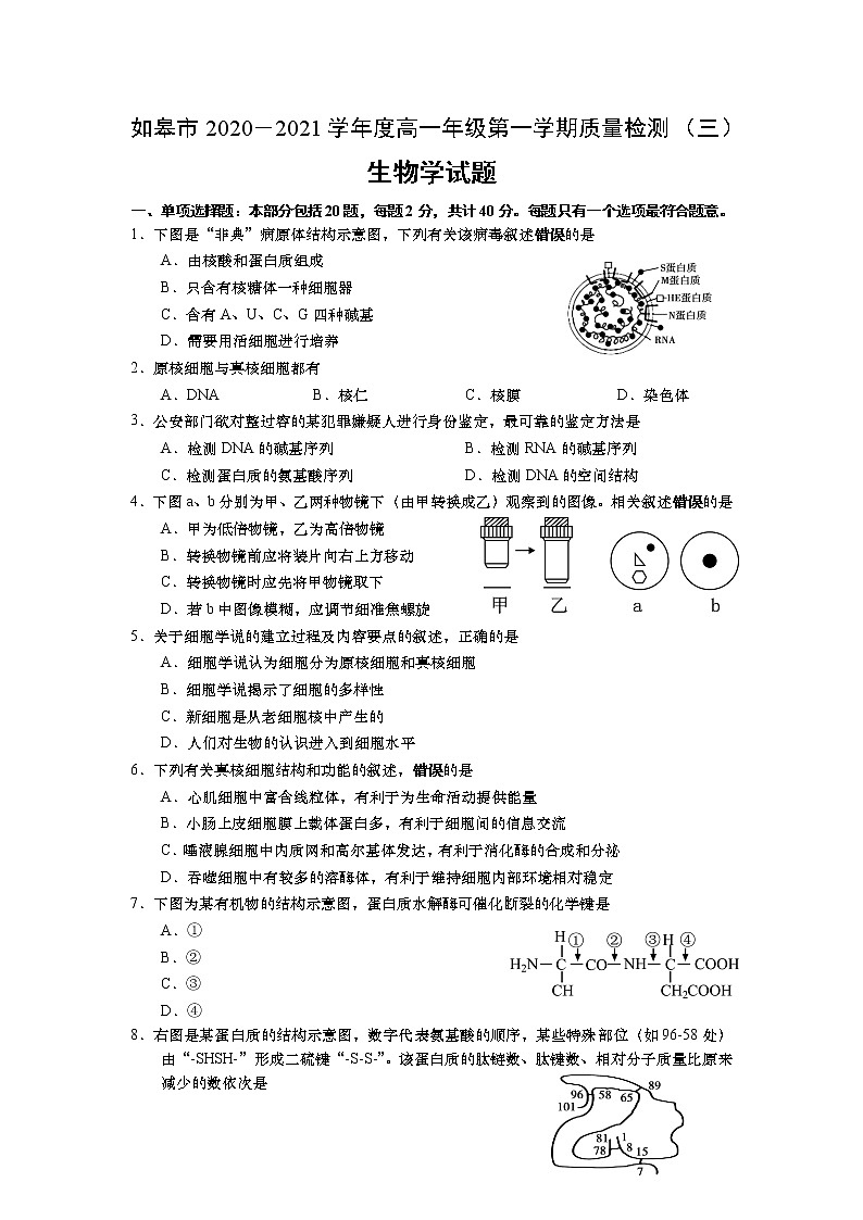 2021如皋高一上学期教学质量调研(三)生物试卷含答案第1页