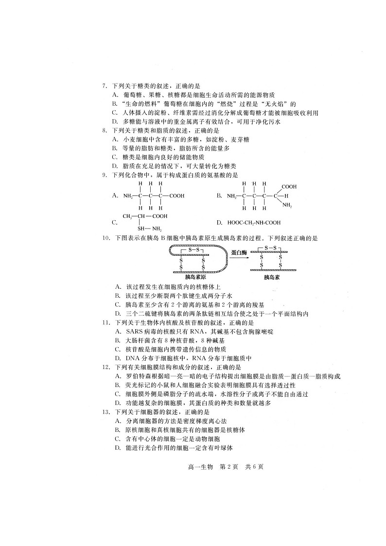 2021张家口高一上学期名校联考(期中)考试生物试题(扫描版)02