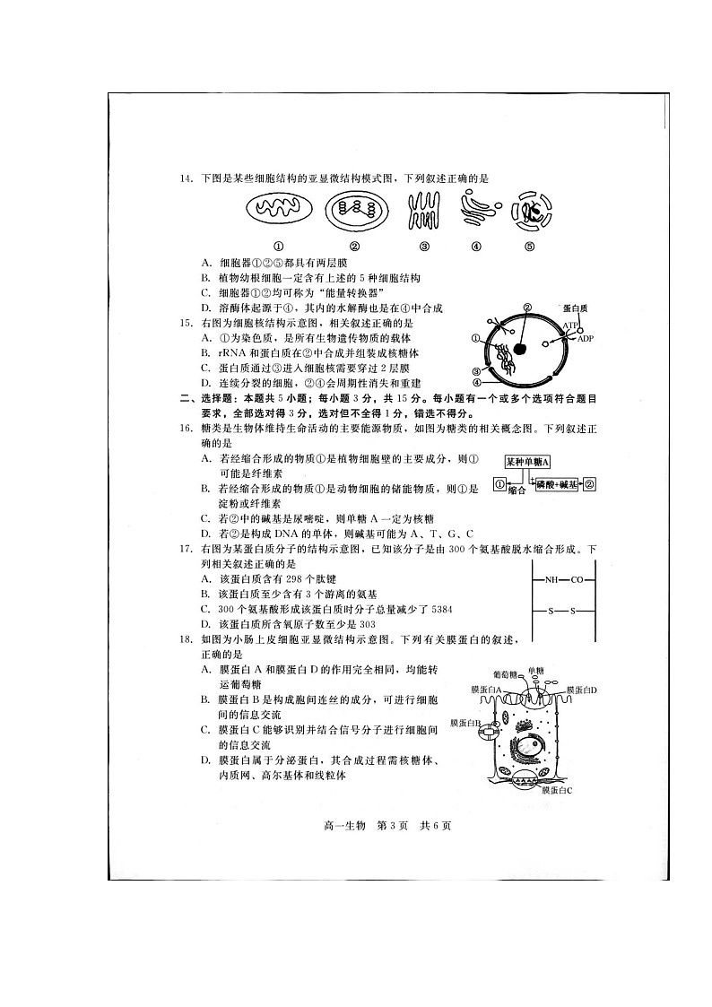 2021张家口高一上学期名校联考(期中)考试生物试题(扫描版)03