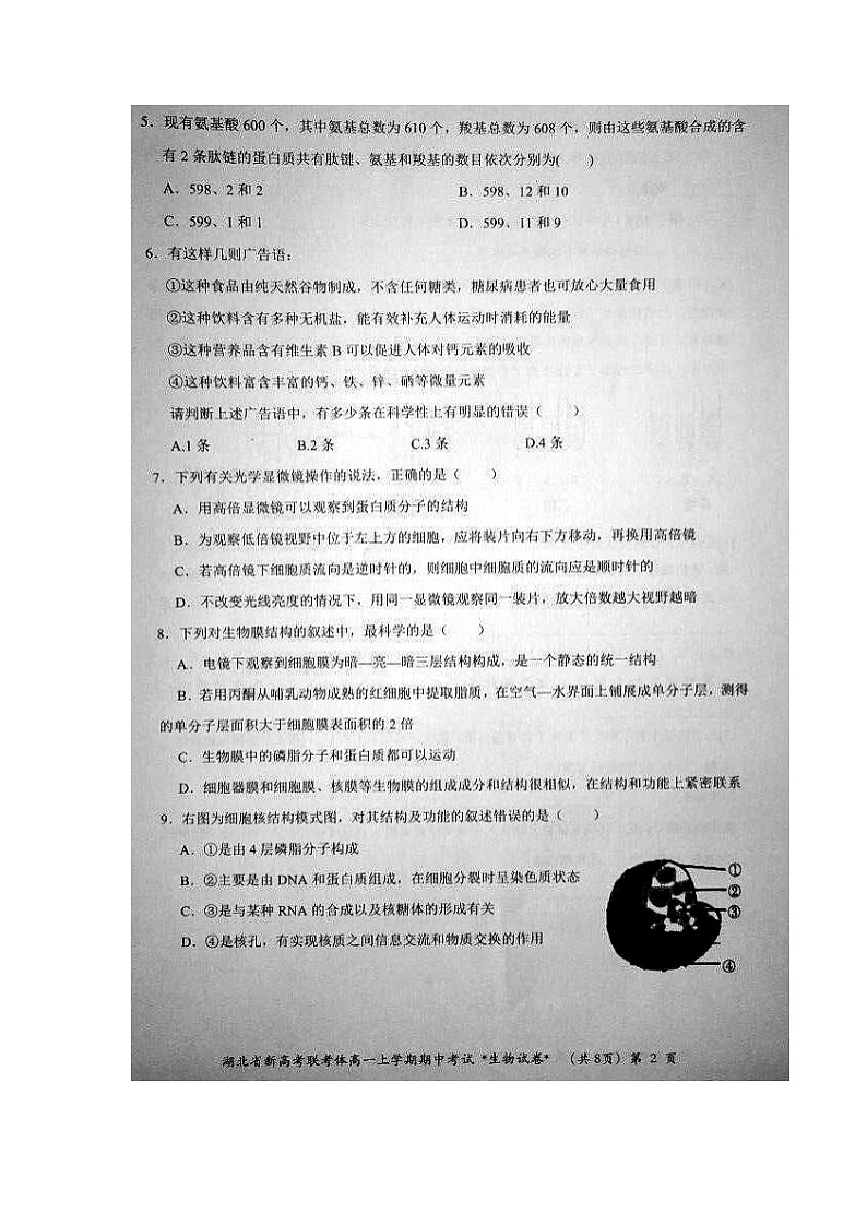 2021湖北省新高考联考协作体高一上学期期中考试生物试题图片版含答案第2页