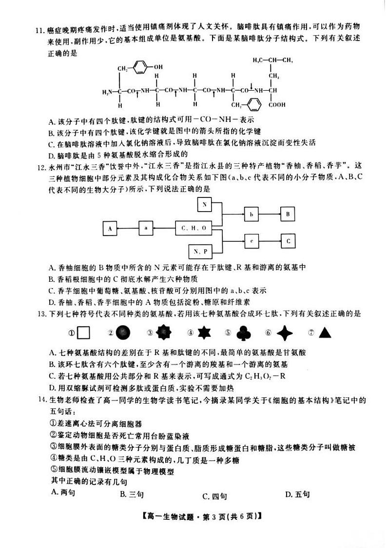 湖南省三湘名校教育联盟2020-2021学年高一上学期期中考试生物试题第3页