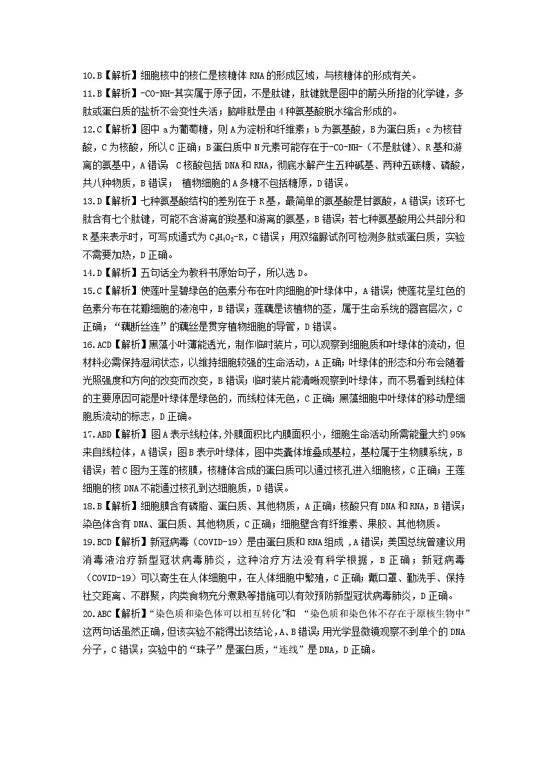 湖南省三湘名校教育联盟2020-2021学年高一上学期期中考试生物答案第2页