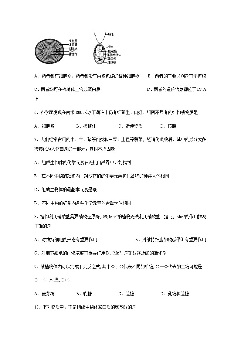 2021泸县一中高一上学期第二次月考生物试题含答案第2页