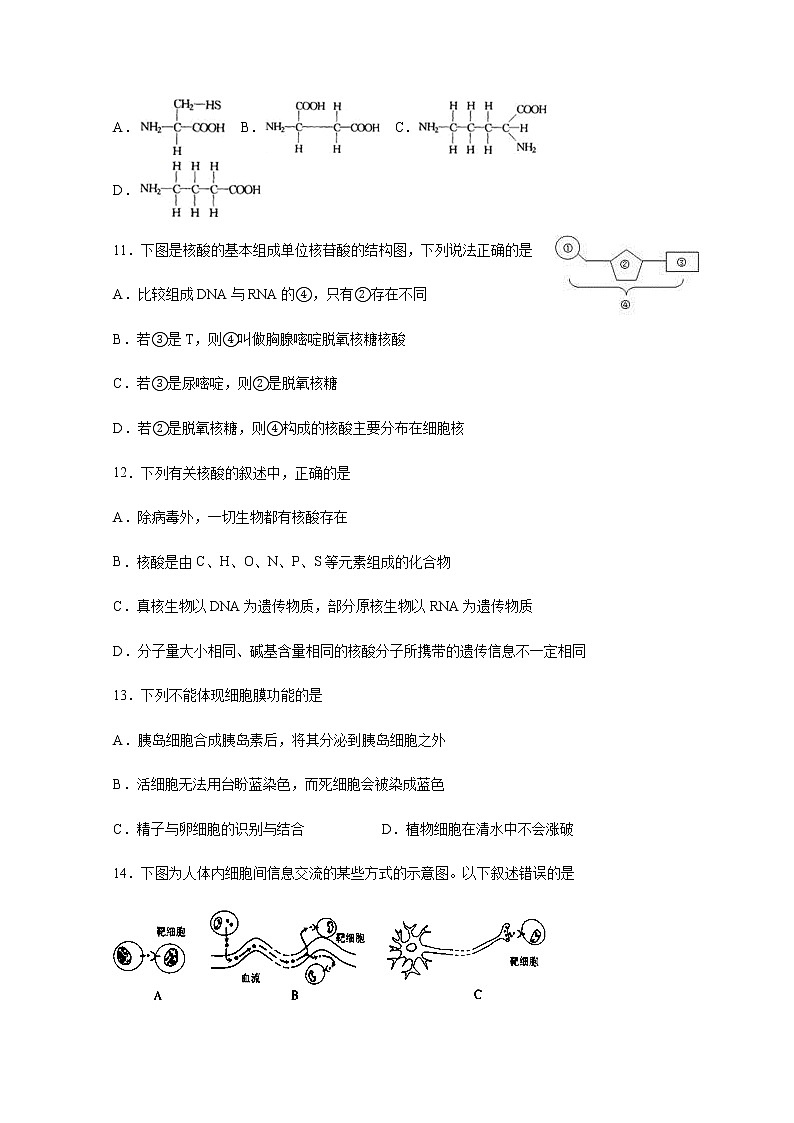 2021泸县一中高一上学期第二次月考生物试题含答案第3页