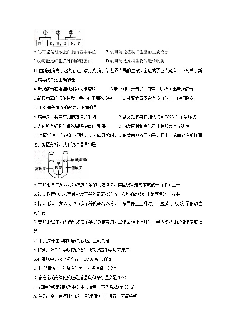 2020衡阳高一下学期选科摸底考试生物含答案第3页