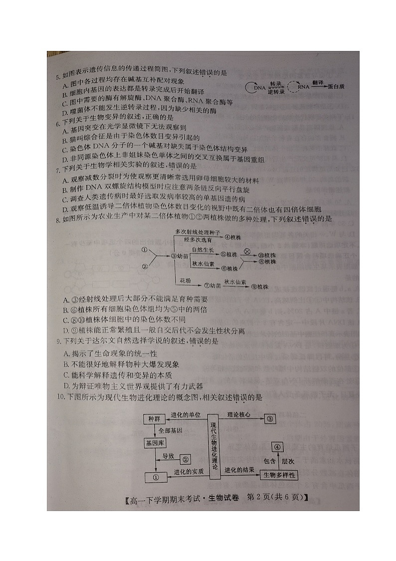 2020盘锦辽河油田三中高一下学期期末考试生物试题扫描版含答案第2页