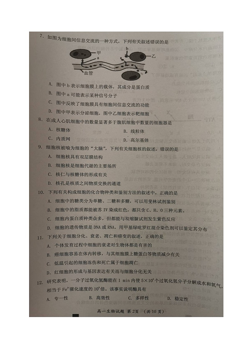 2020三明高一下学期期末考试生物试题扫描版含答案02