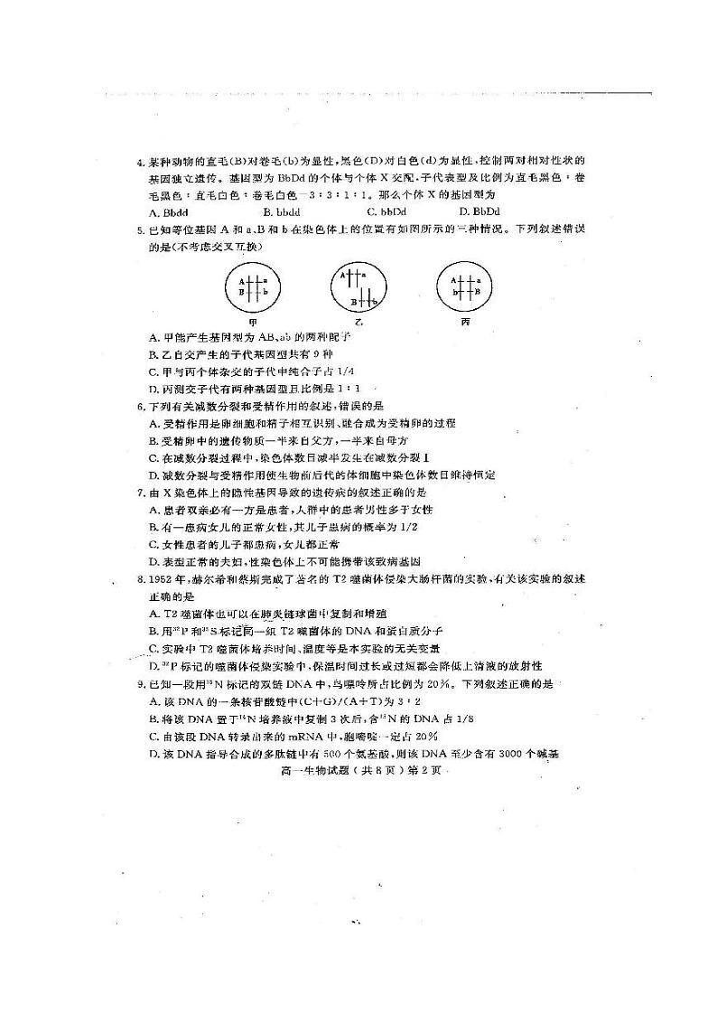 2020聊城高一下学期期末考试生物试题扫描版含答案02