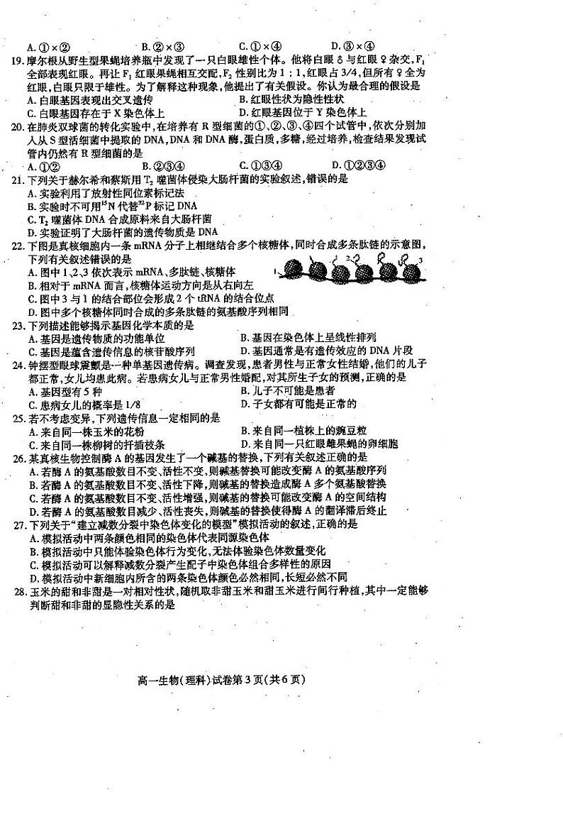 四川省内江市2019-2020学年高一下学期期末检测生物(理)试题第3页