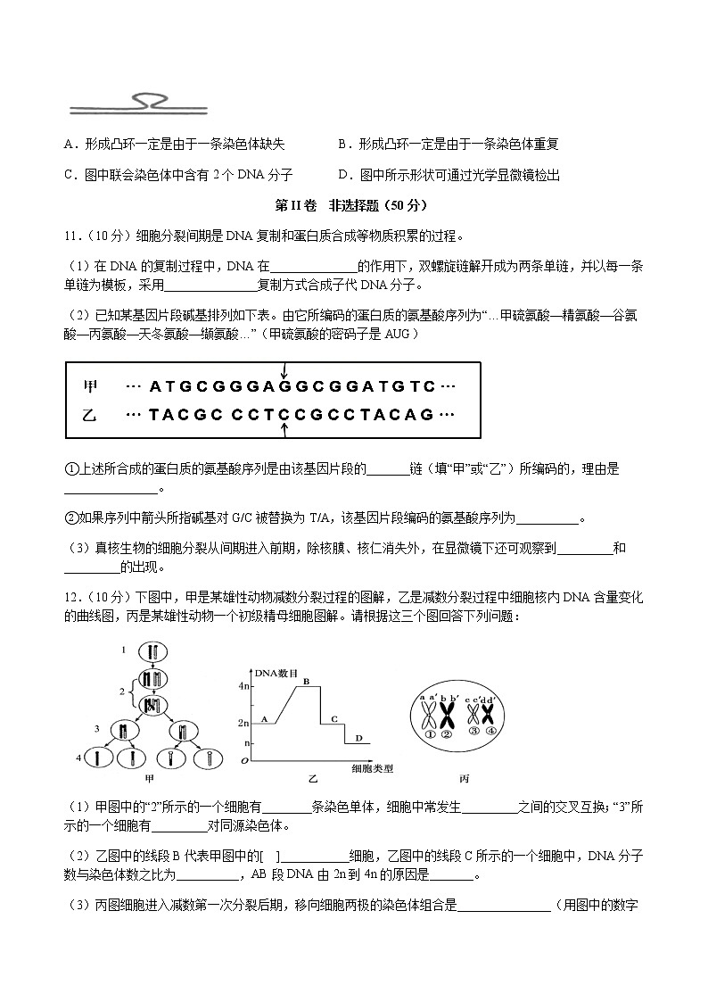 2020泸县一中高一下学期第四学月考试生物试题含答案第3页