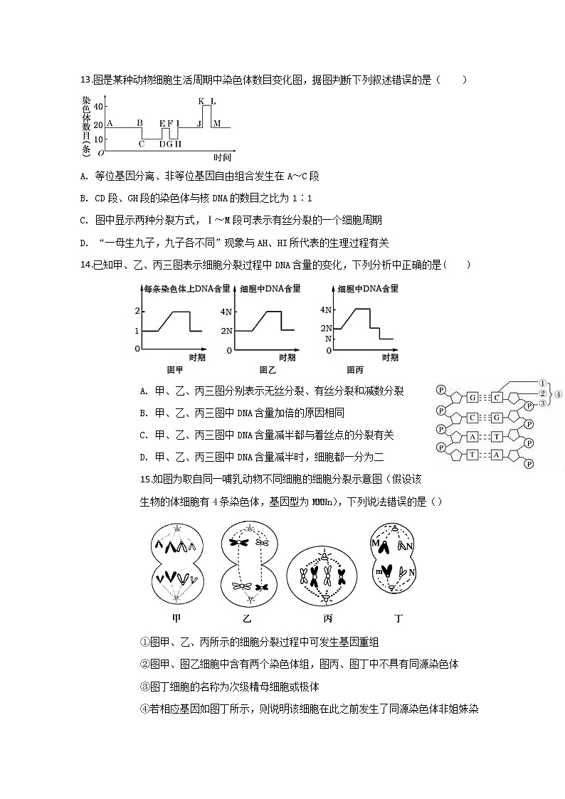 2020锦州黑山县黑山中学高一6月质量检测生物试题含答案第3页