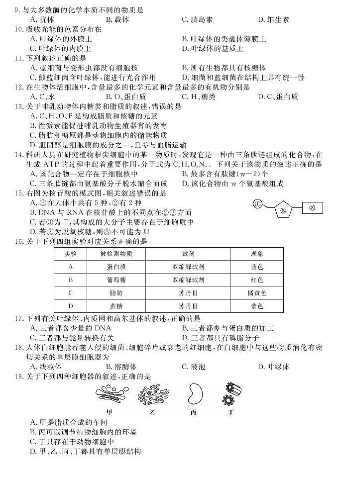 2020盘锦二中高一上学期期末考试生物试题PDF版含答案第2页