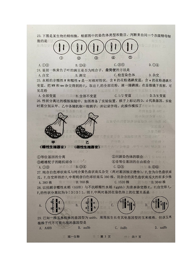 2020江苏省清江中学高一下学期期中考试生物试题扫描版含答案第3页