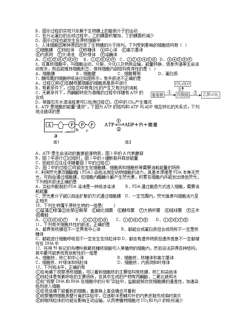 2020南昌进贤县一中高一上学期期末考试生物试题含答案第2页