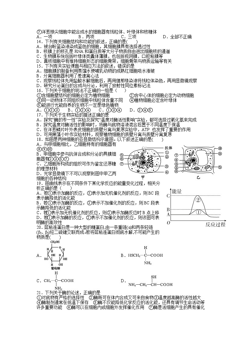 2020南昌进贤县一中高一上学期期末考试生物试题含答案第3页