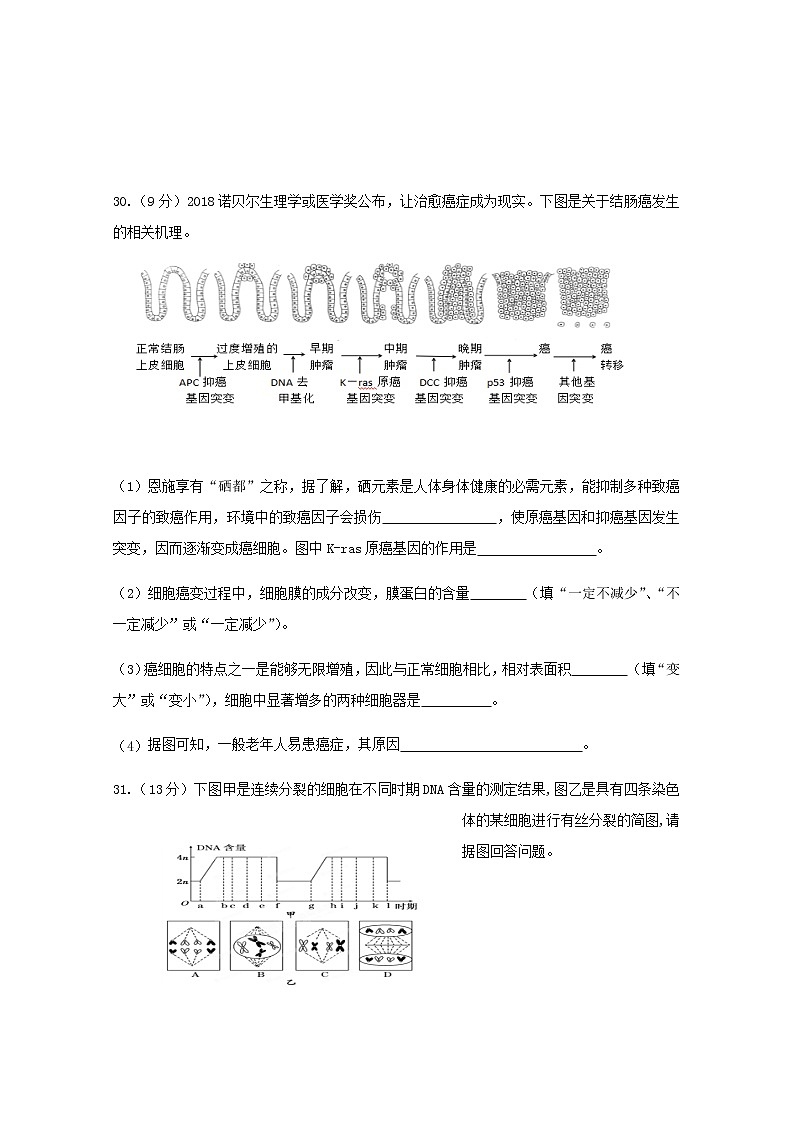2020雅安中学高一4月月考生物试题含答案第3页