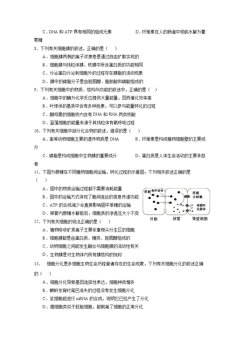 2020静宁县一中高一下学期第一次月考生物试题含答案第2页