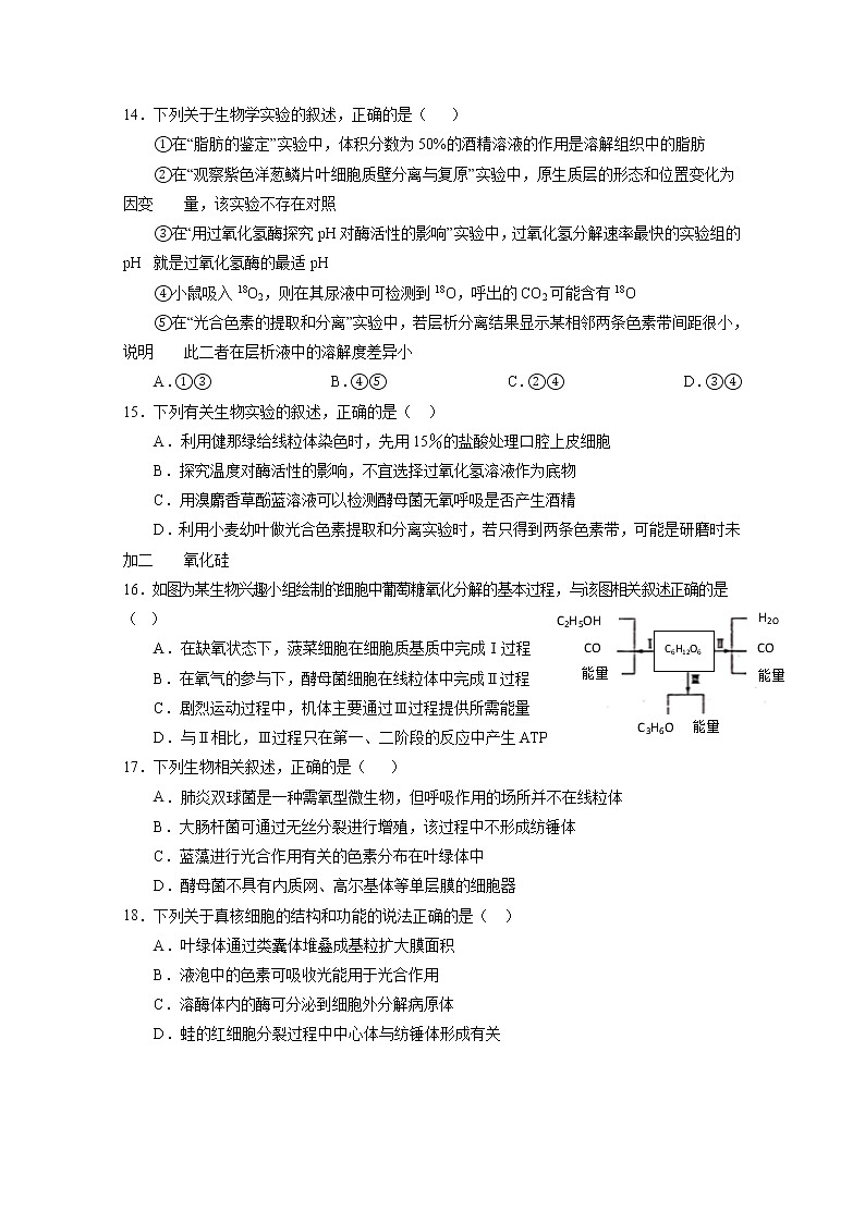 2020静宁县一中高一下学期第一次月考生物试题含答案第3页