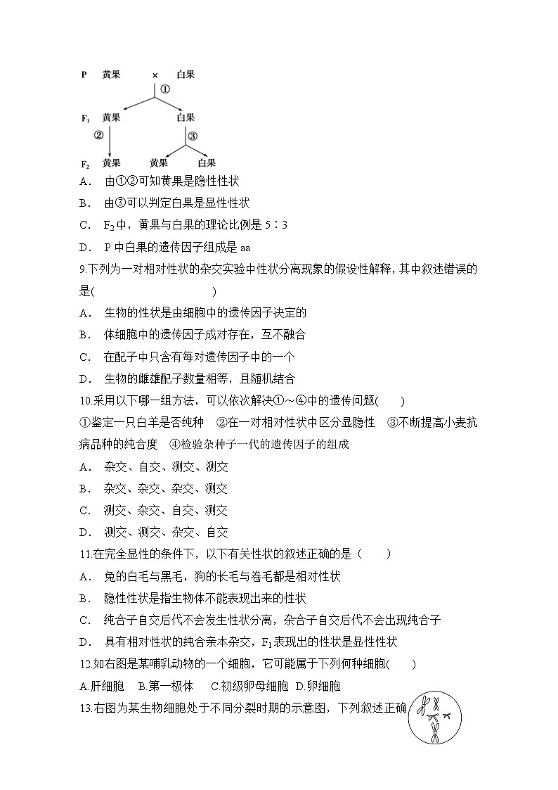 2020晋中和诚中学高一下学期生物周练一含答案03
