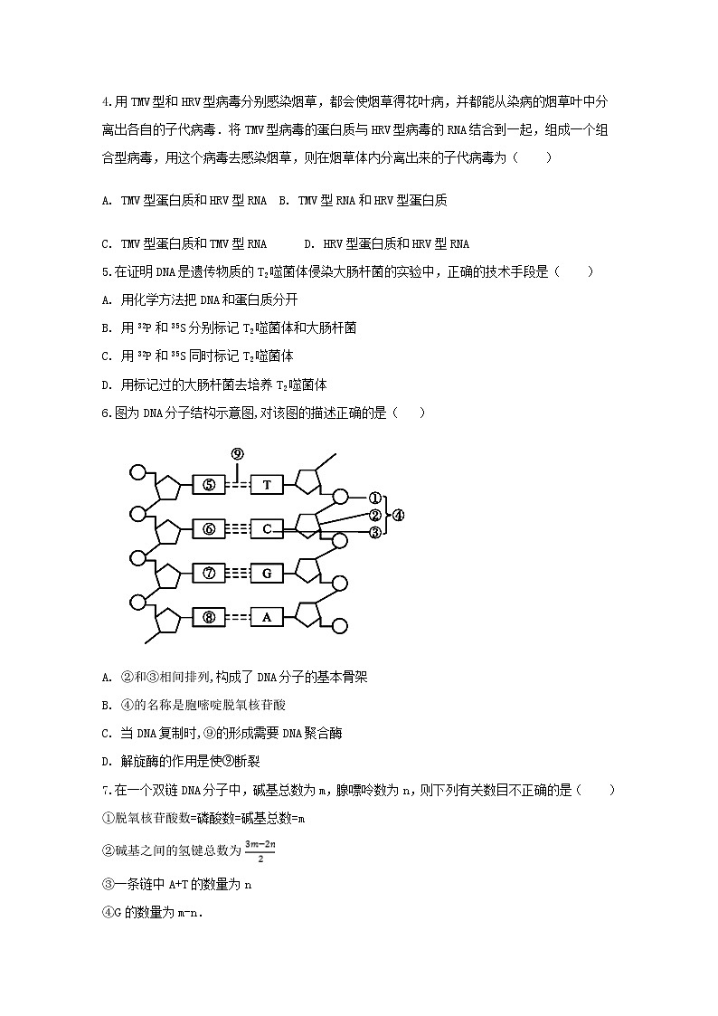 2020沧州一中高一下学期第二次学段检测生物试题含答案第2页