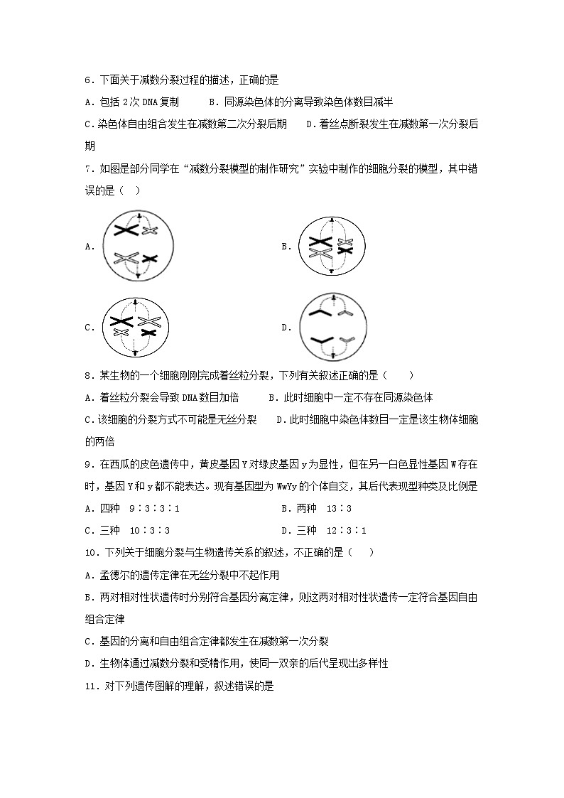 2020淄博七中高一3月线上考试生物试题含答案第2页