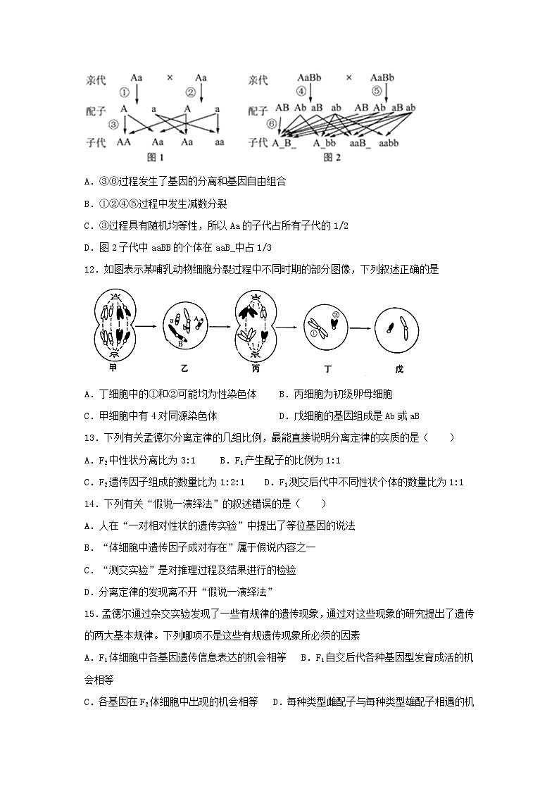 2020淄博七中高一3月线上考试生物试题含答案第3页