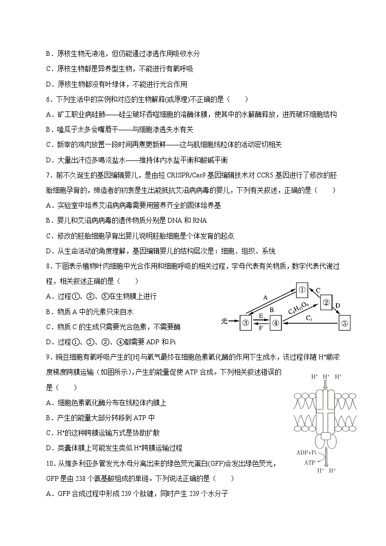 2020新余一中高一3月零班网上摸底考试生物试题含答案第2页