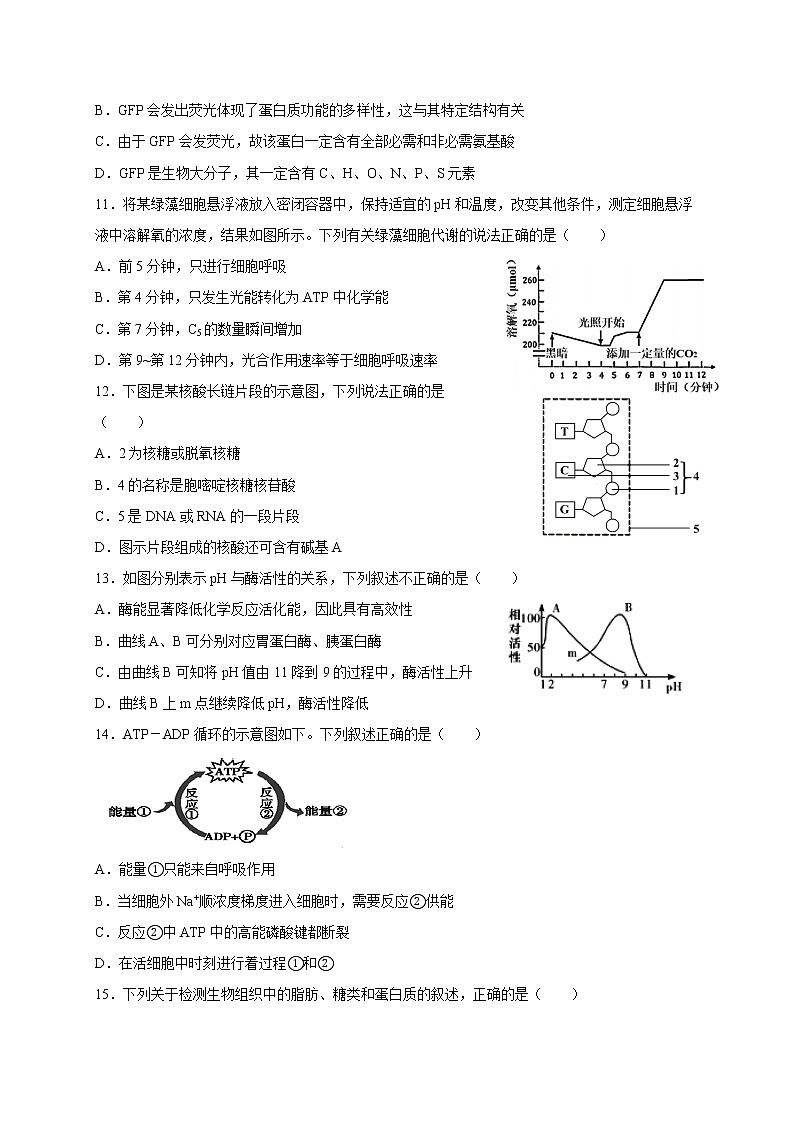 2020新余一中高一3月零班网上摸底考试生物试题含答案第3页