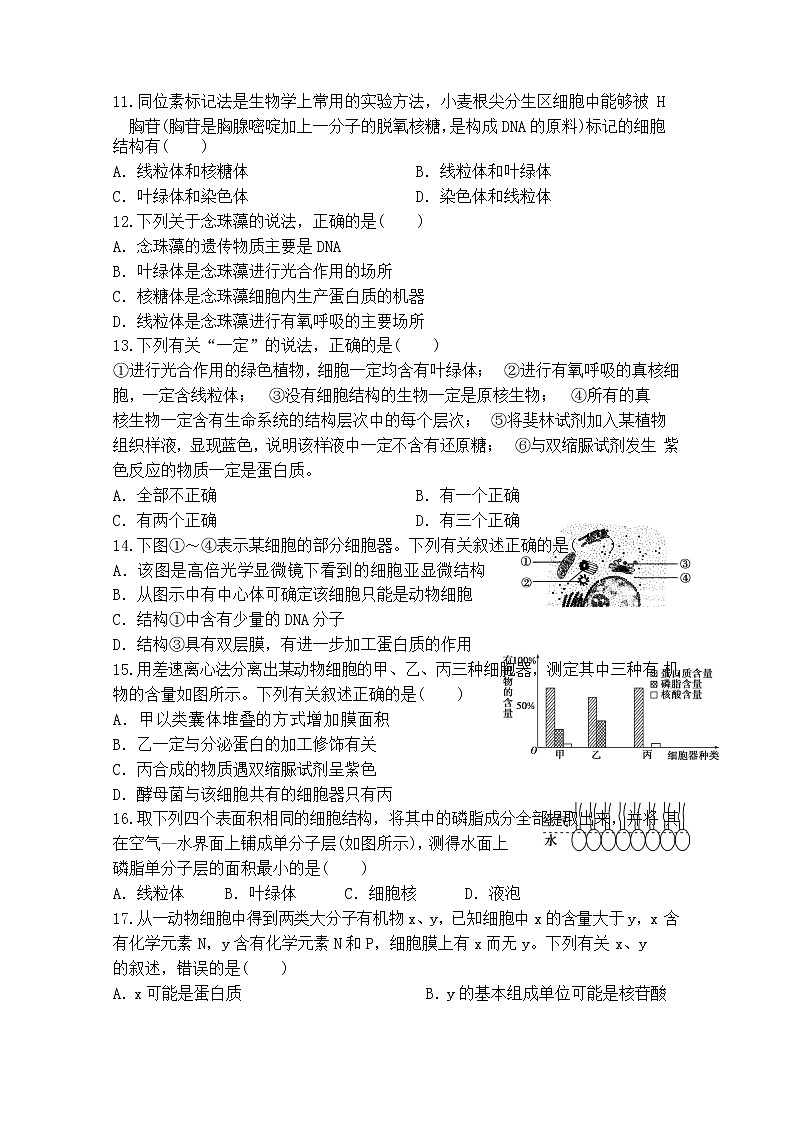 2020合肥一六八中学高一下学期入学考试生物试题缺答案03