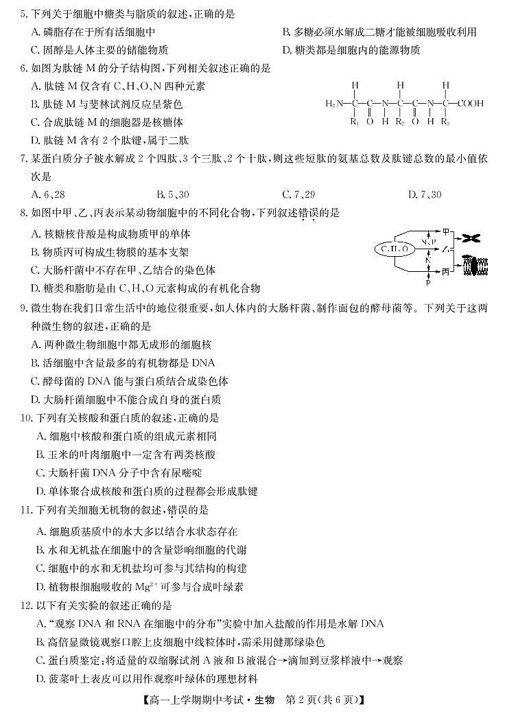 201191D-生物第2页