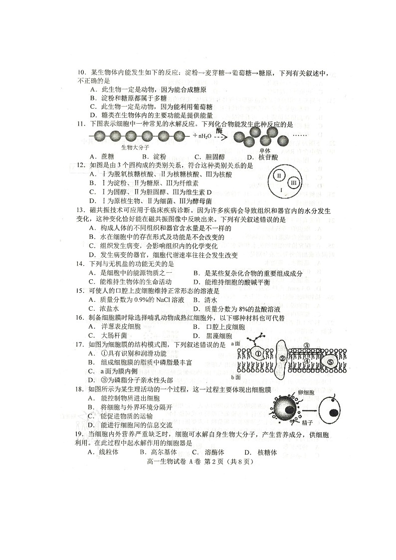 2020唐山高一上学期期末考试生物试题扫描版含答案第2页
