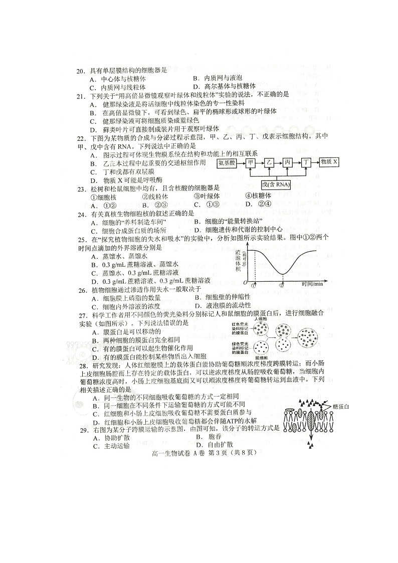 2020唐山高一上学期期末考试生物试题扫描版含答案第3页