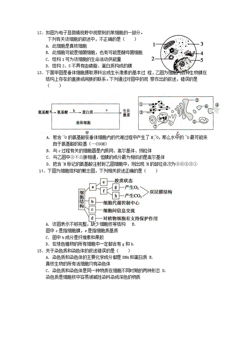 2020荆州中学高一上学期期末考试生物试题含答案03