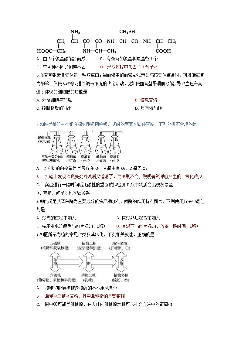 2020福建省师大附中高一上学期期末考试生物试题含答案第2页