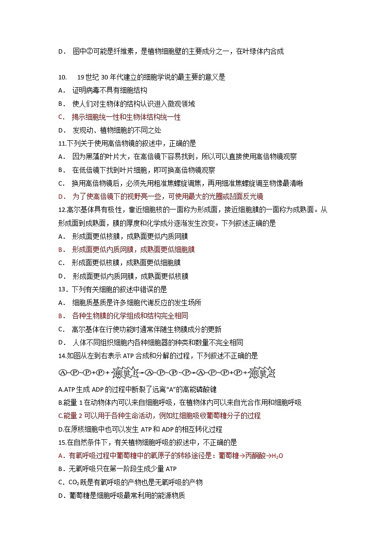 2020福建省师大附中高一上学期期末考试生物试题含答案第3页