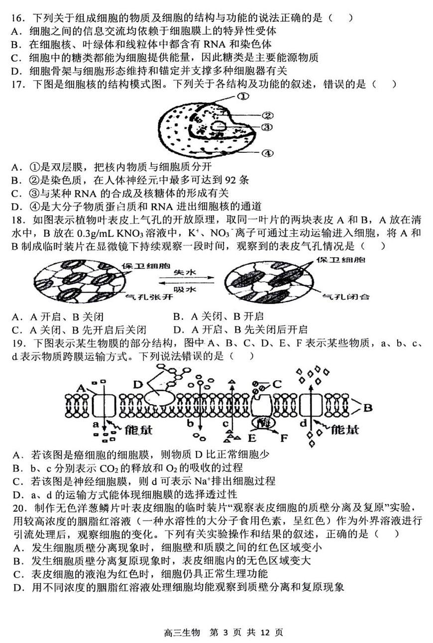 黑龍江省哈爾濱市第三中學(xué)校2022-2023學(xué)年高三上學(xué)期第二次驗(yàn)收考試生物試卷第3頁(yè)