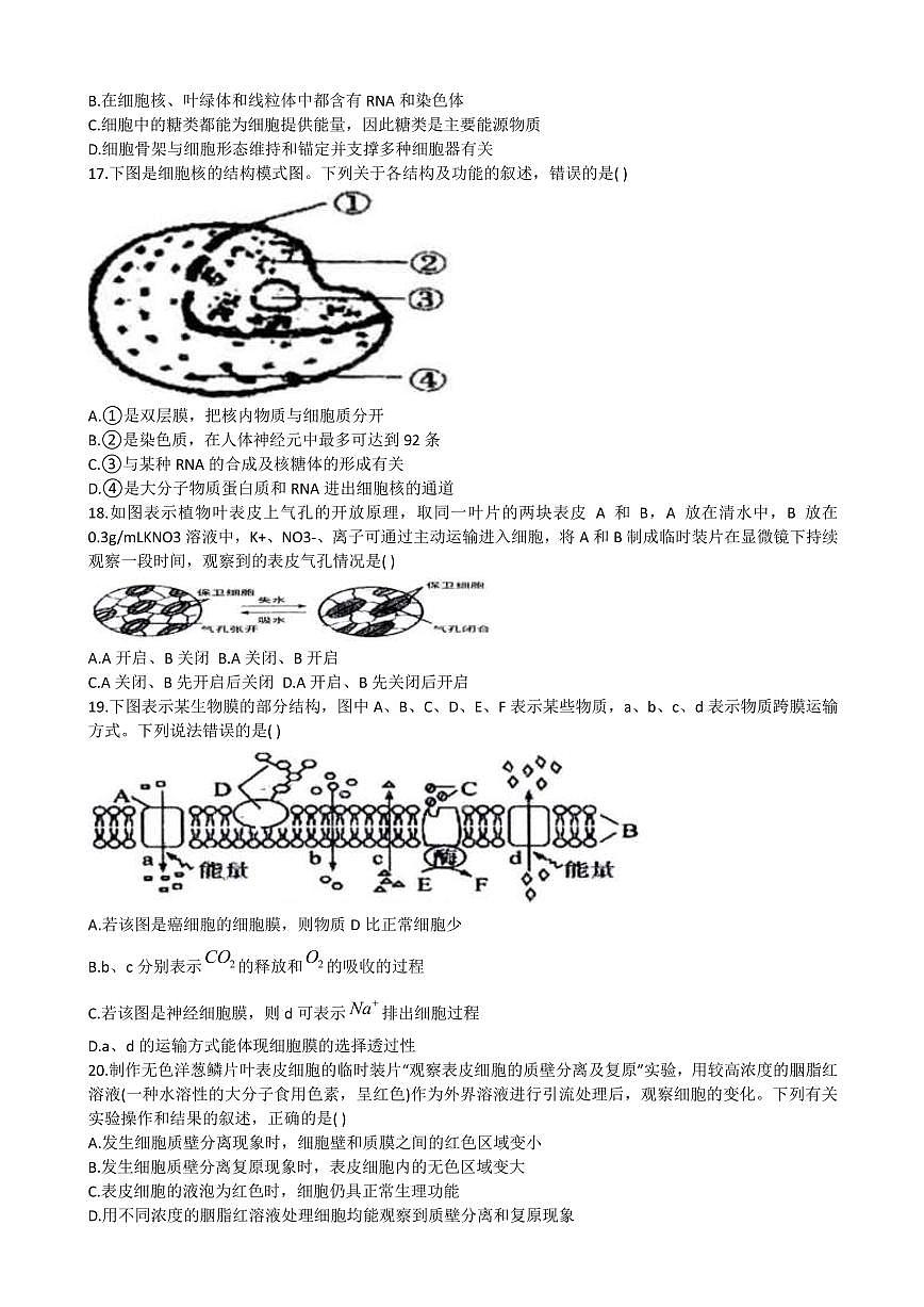 黑龍江省哈爾濱市第三中學(xué)校2022-2023學(xué)年高三上學(xué)期第二次驗(yàn)收考試試題和答案第3頁(yè)