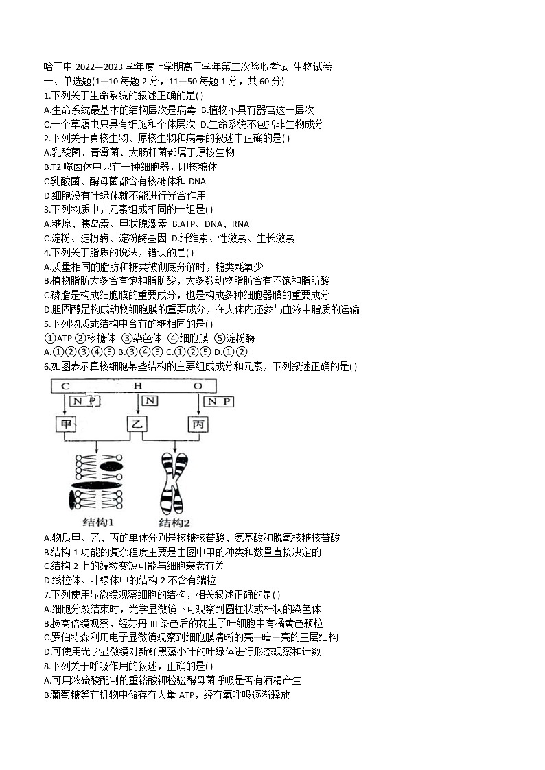 2023省哈尔滨三中高三上学期第二次验收考试生物含答案01