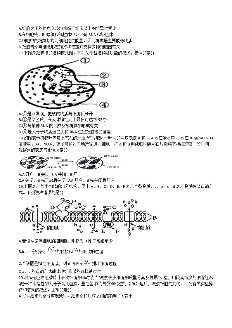 2023省哈尔滨三中高三上学期第二次验收考试生物含答案03