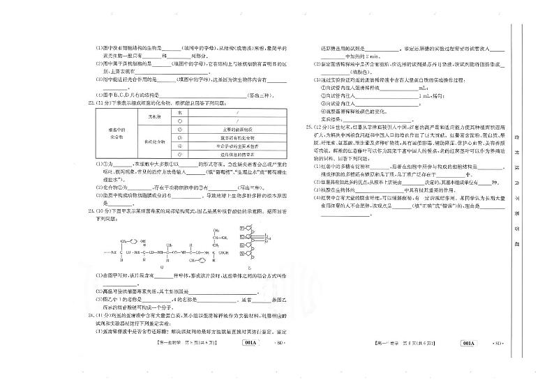 山东省2022-2023学年高一上学期10月选科联考生物试题PDF版无答案第2页