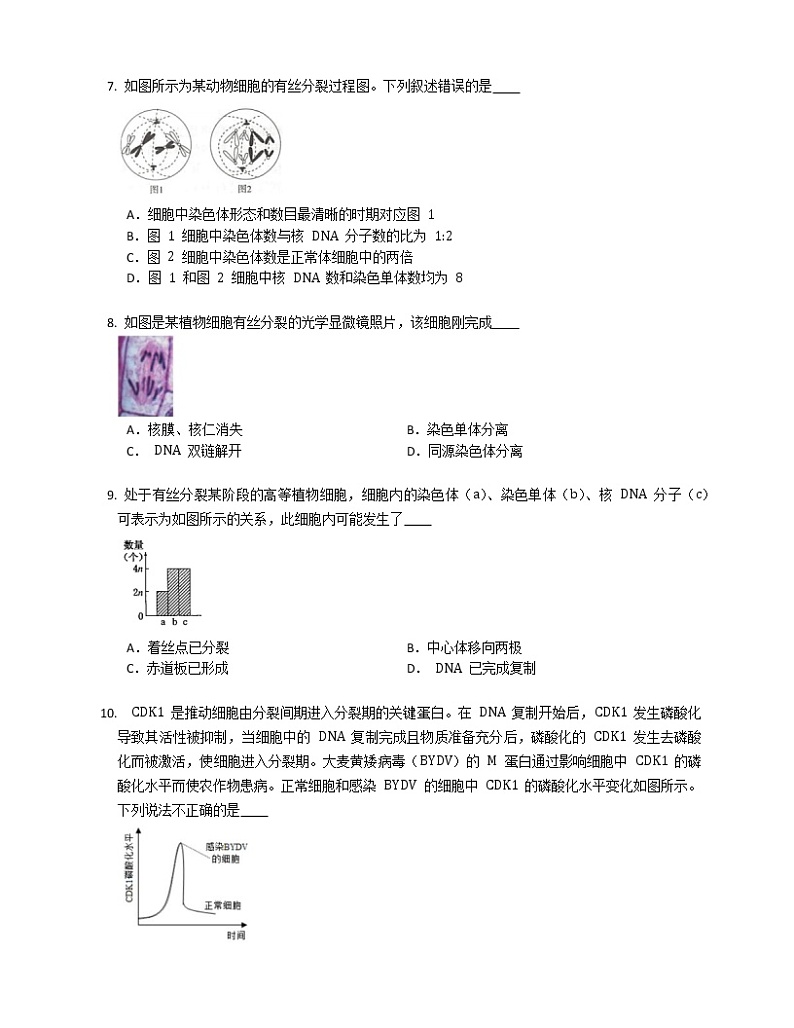 第六章《细胞的生命历程》单元练习 (1)第2页
