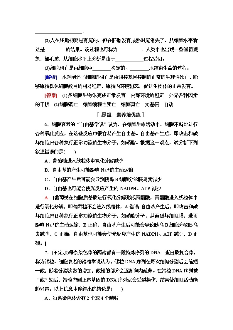 人教版高中生物必修1课后素养落实26细胞的衰老和死亡含答案 试卷03