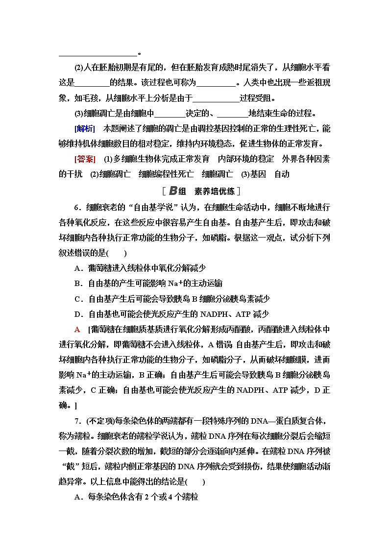 人教版高中生物必修1课后素养落实26细胞的衰老和死亡含答案第3页