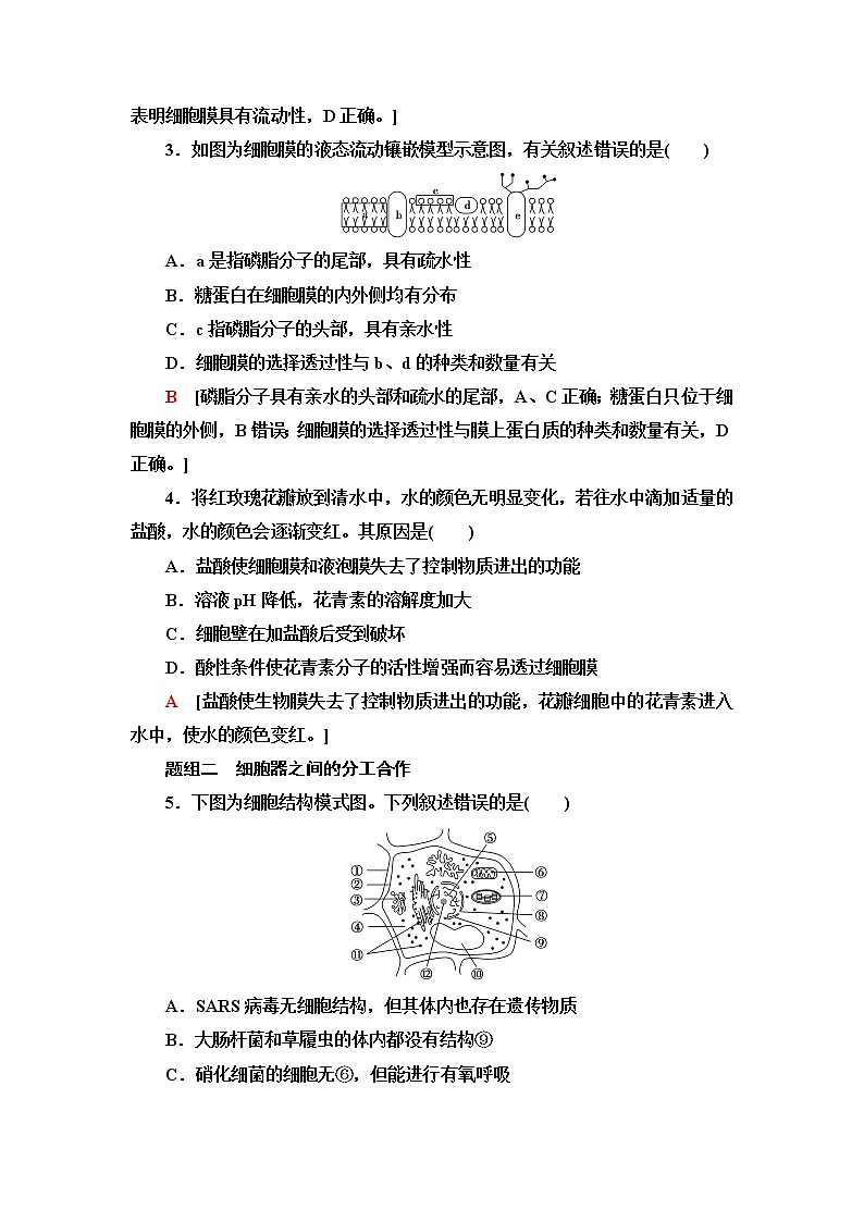 人教版高中生物必修1重点突破练2细胞的结构与功能含答案第2页