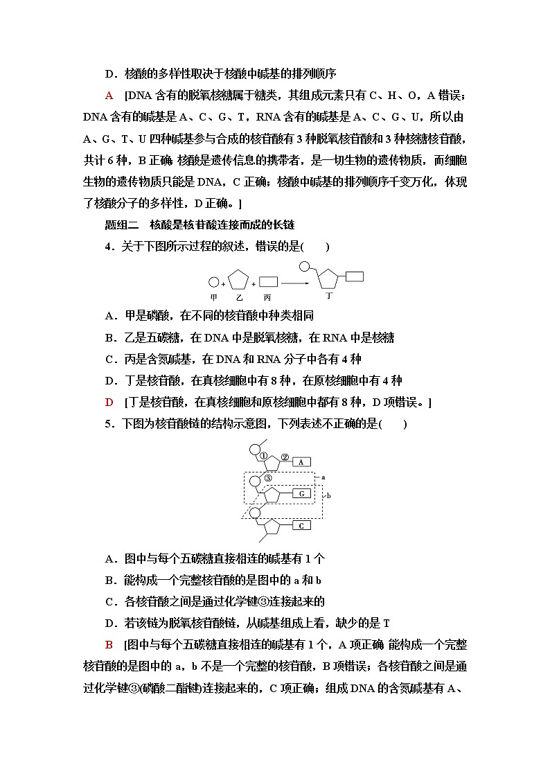 人教版高中生物必修1课后素养落实7核酸是遗传信息的携带者含答案 试卷02
