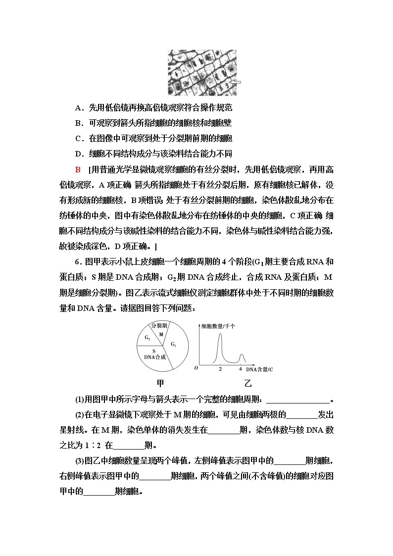 苏教版高中生物必修1重点突破练6含答案03