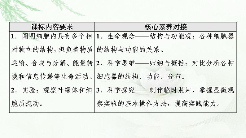 人教版高中生物必修1第3章第2节第1课时细胞器之间的分工课件02