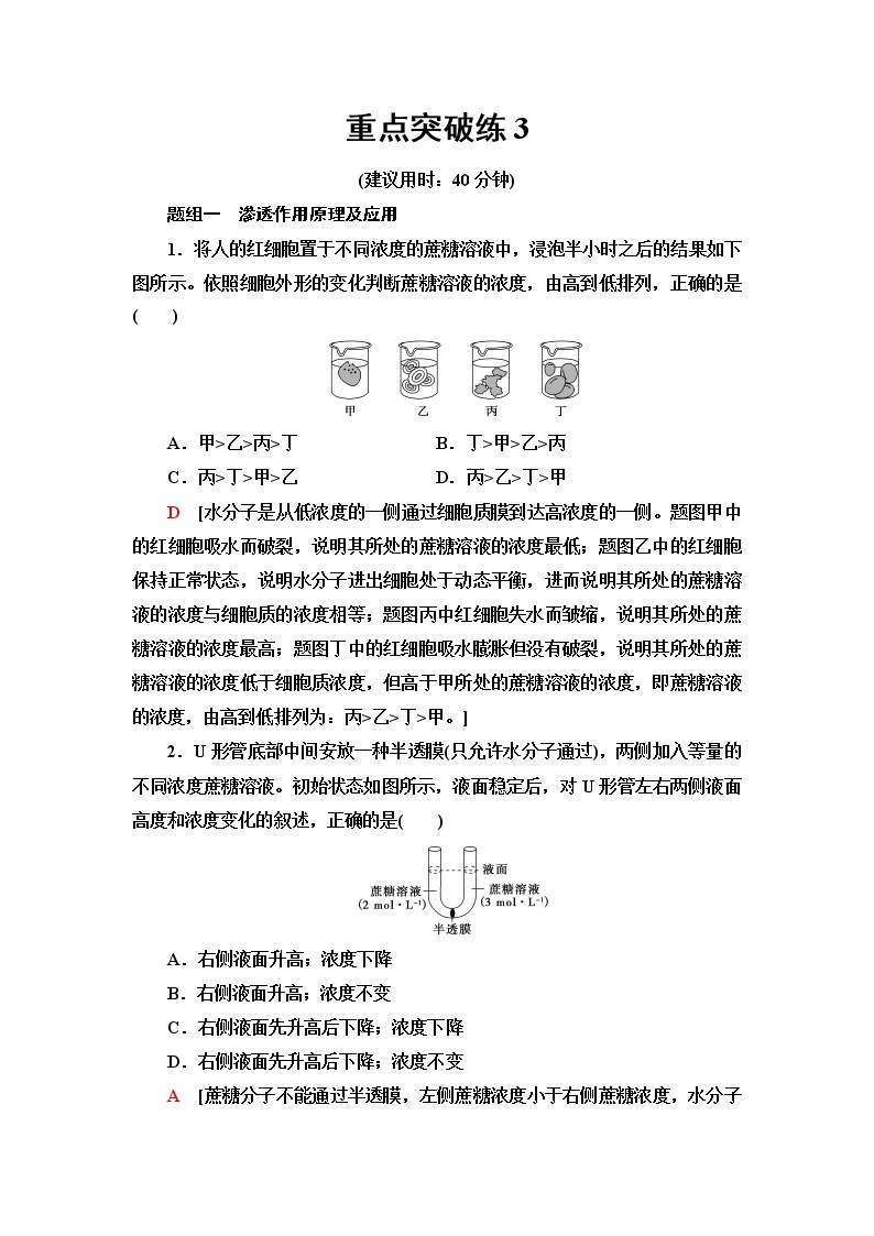 苏教版高中生物必修1重点突破练3含答案01