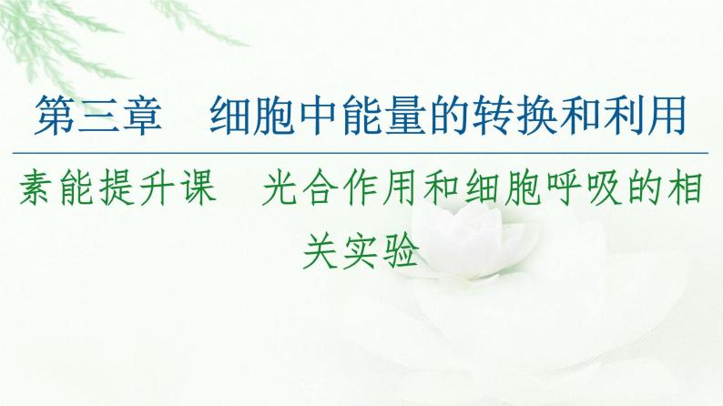 苏教版高中生物必修1第3章第4节素能提升课光合作用和细胞呼吸的相关实验课件01